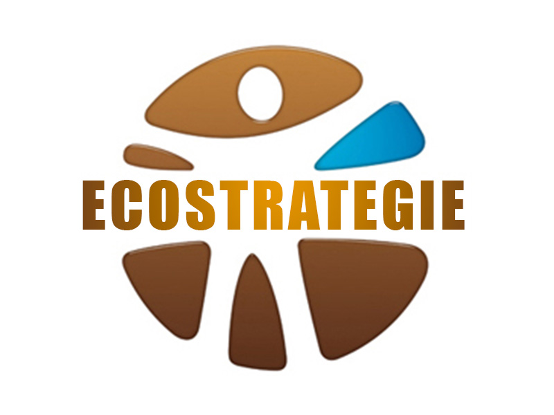 Logotype | Ecostratégie