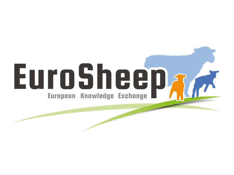 Logotype | Eurosheep