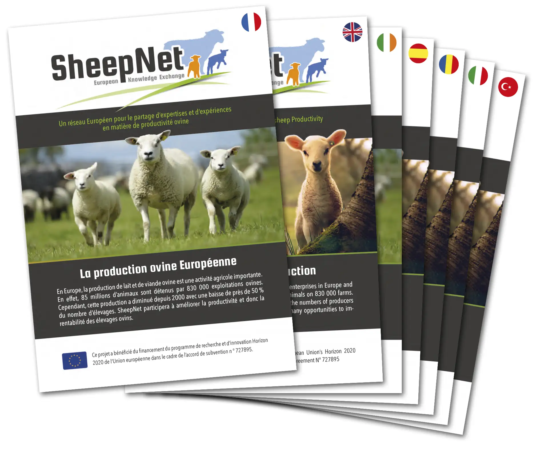 Plaquettes SheepNet par Aquaréel.